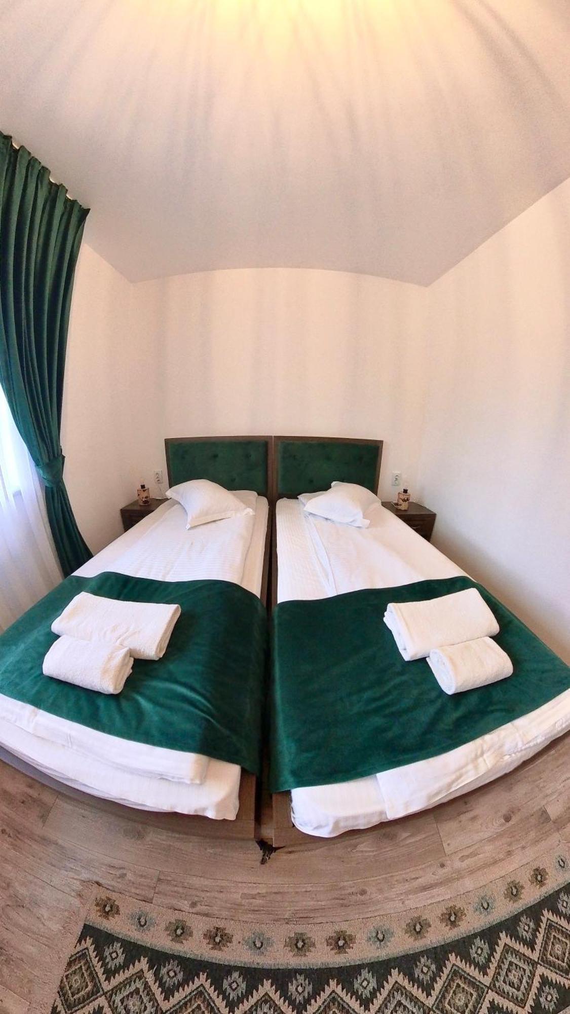 Green Mountain Resort Scrind-Frăsinet エクステリア 写真