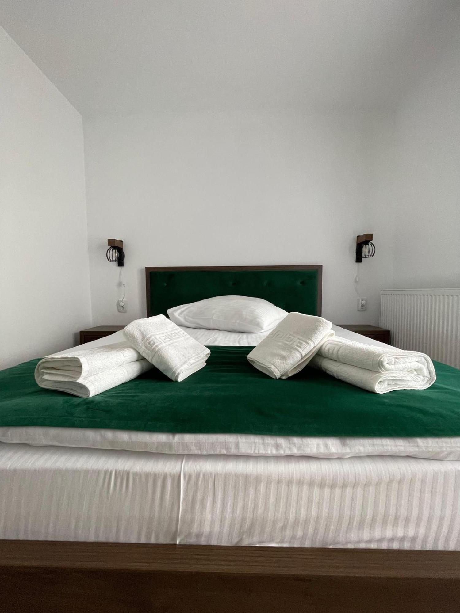 Green Mountain Resort Scrind-Frăsinet エクステリア 写真
