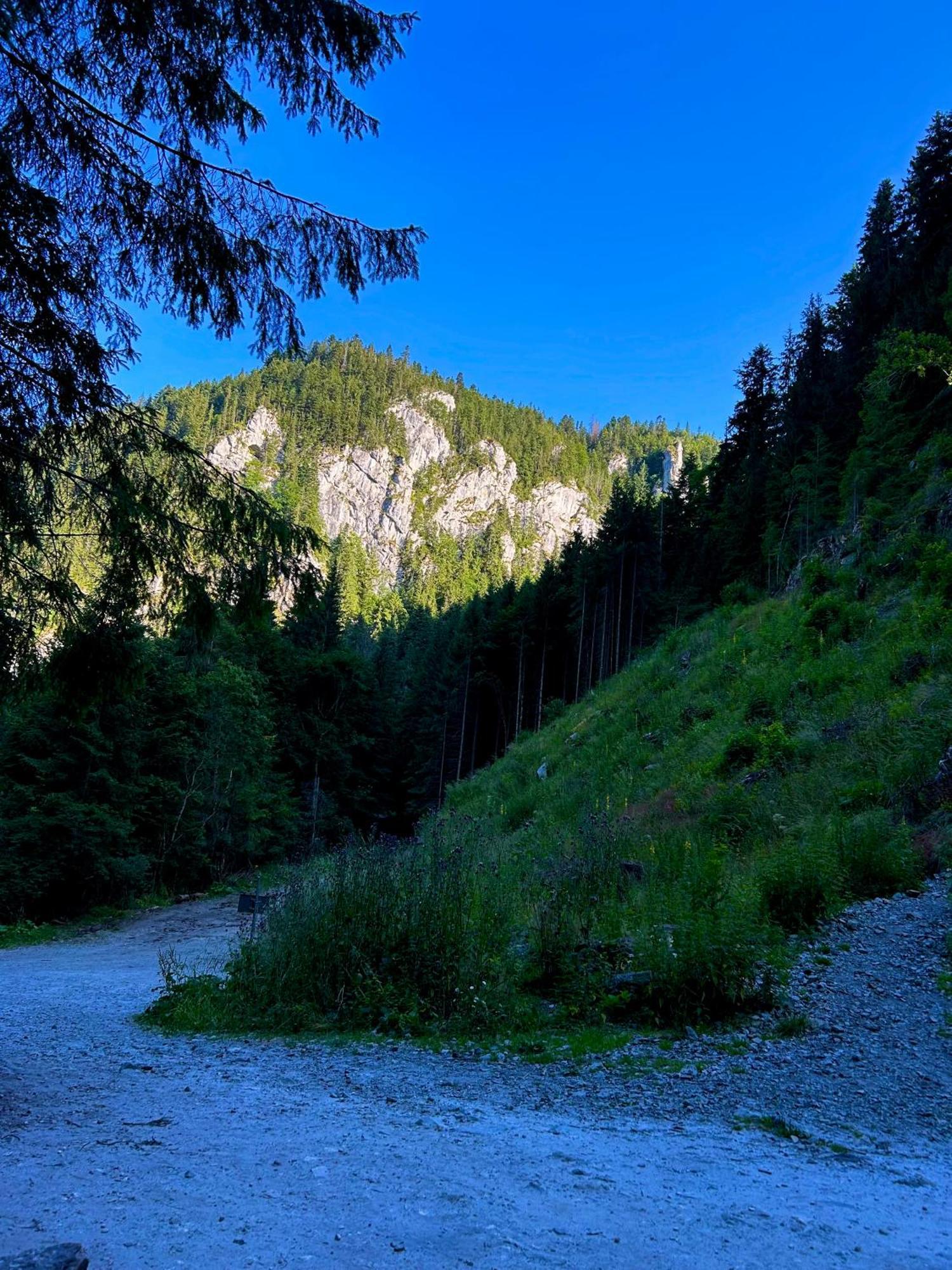 Green Mountain Resort Scrind-Frăsinet エクステリア 写真