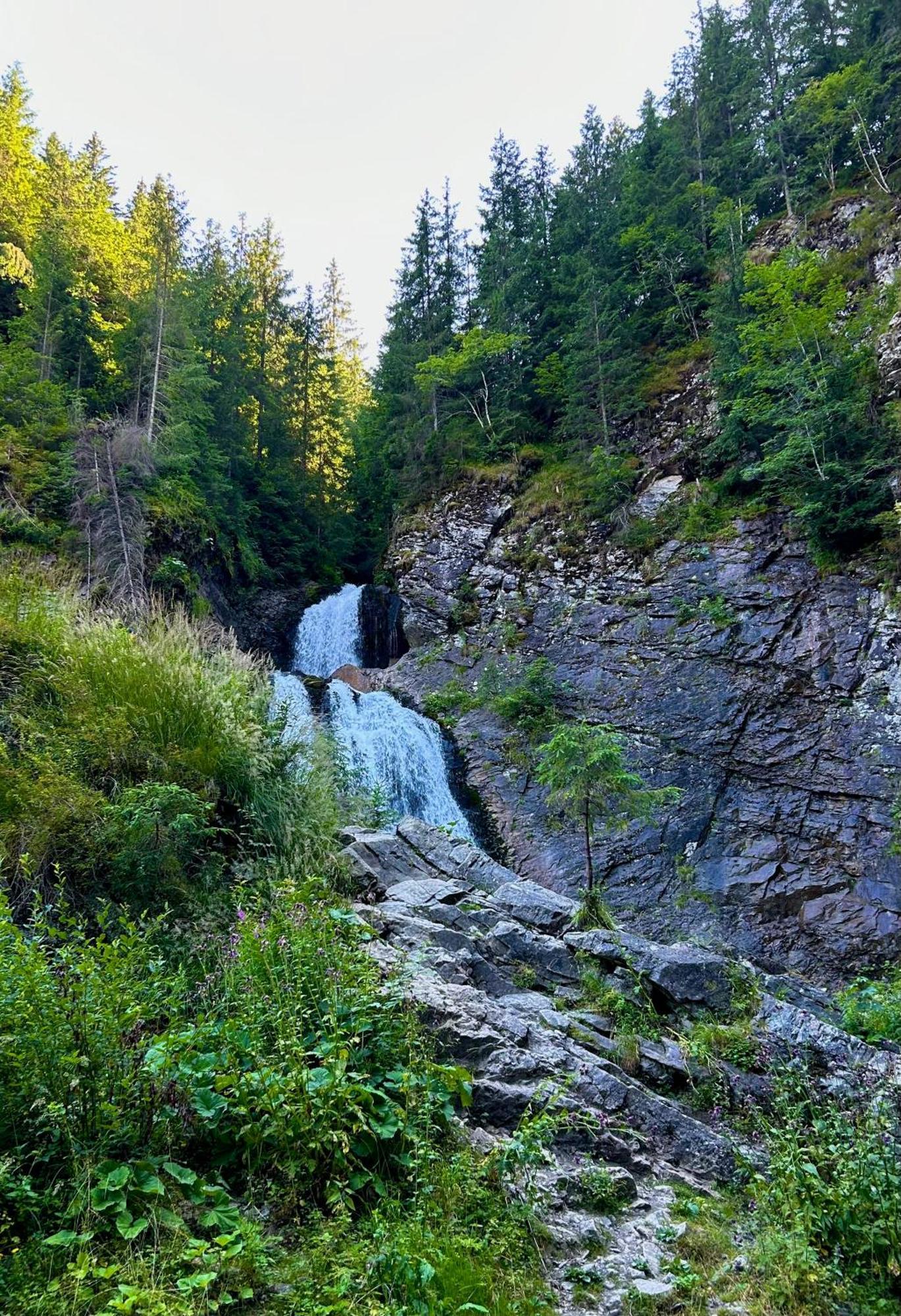 Green Mountain Resort Scrind-Frăsinet エクステリア 写真